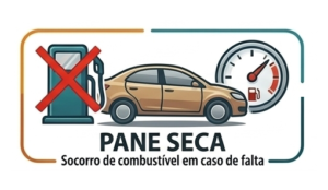 protesaurto-pane-seca